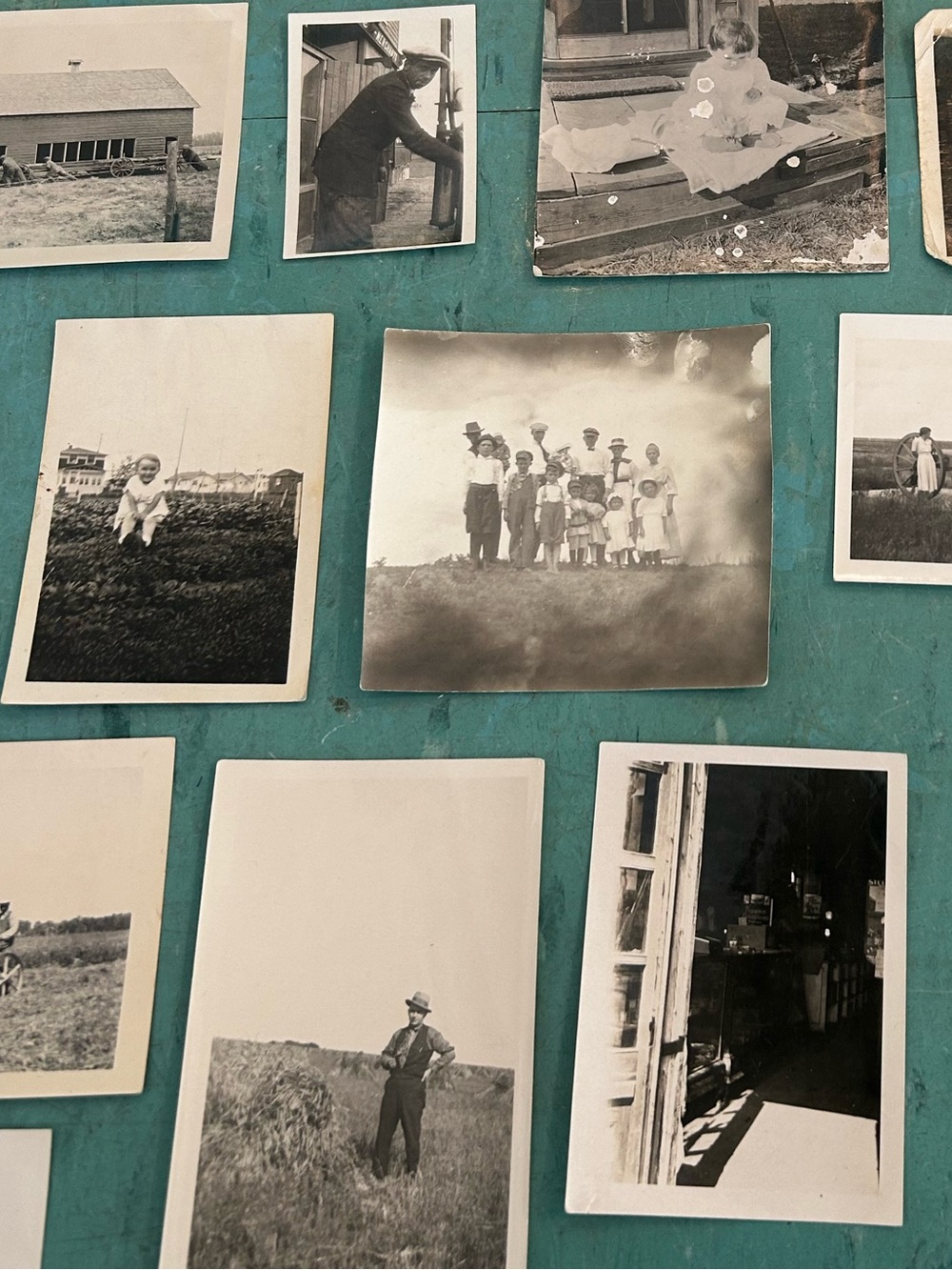 46 black white vintage farm photos animals farmers 1920’s - 1940’s ephemera - Picture 6 of 13